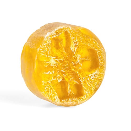 Lemon Verbena Exfoliating Loofa Bars