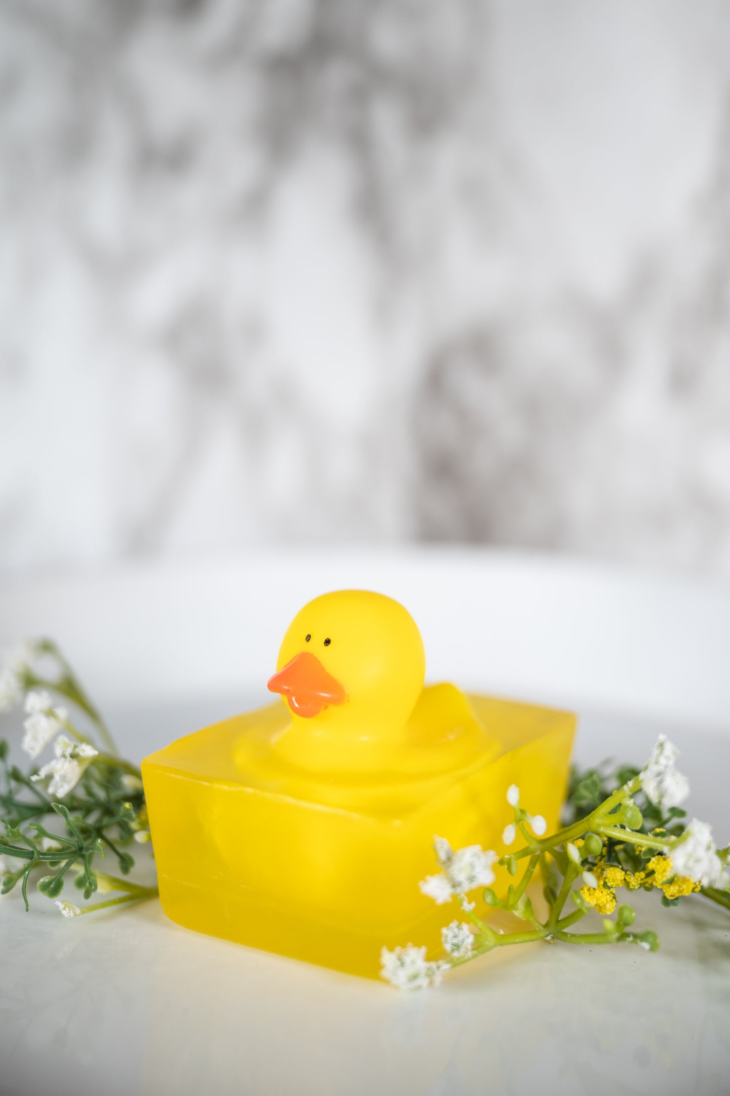 HF DS Traditional Ducks -6pk