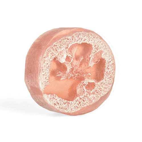 Wild Rose Exfoliating Loofa Bars