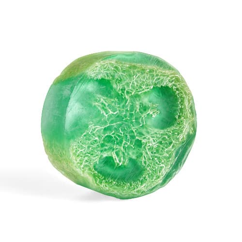 Water Lily Exfoliating Loofa Bars