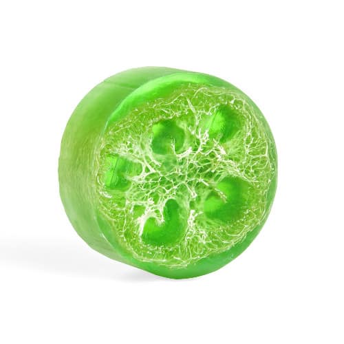 Coconut Lime Exfoliating Loofa Bars