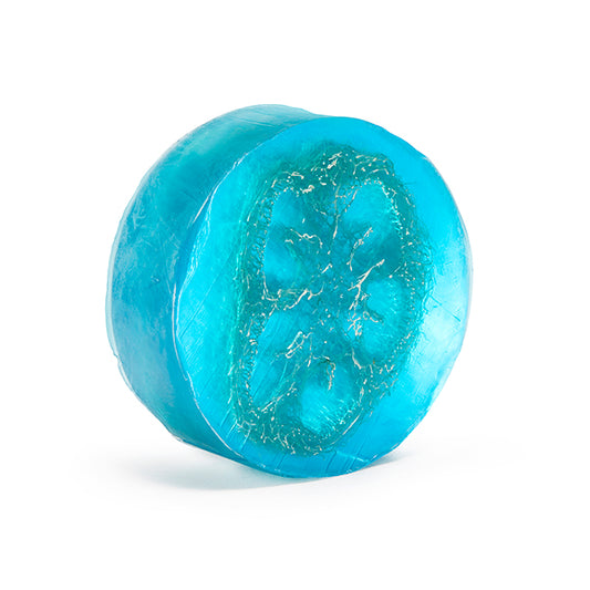 Beachside Exfoliating Loofa Bars