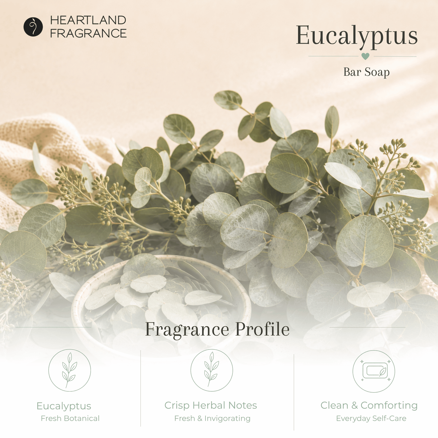 Eucalyptus & Aloe Soap Bar