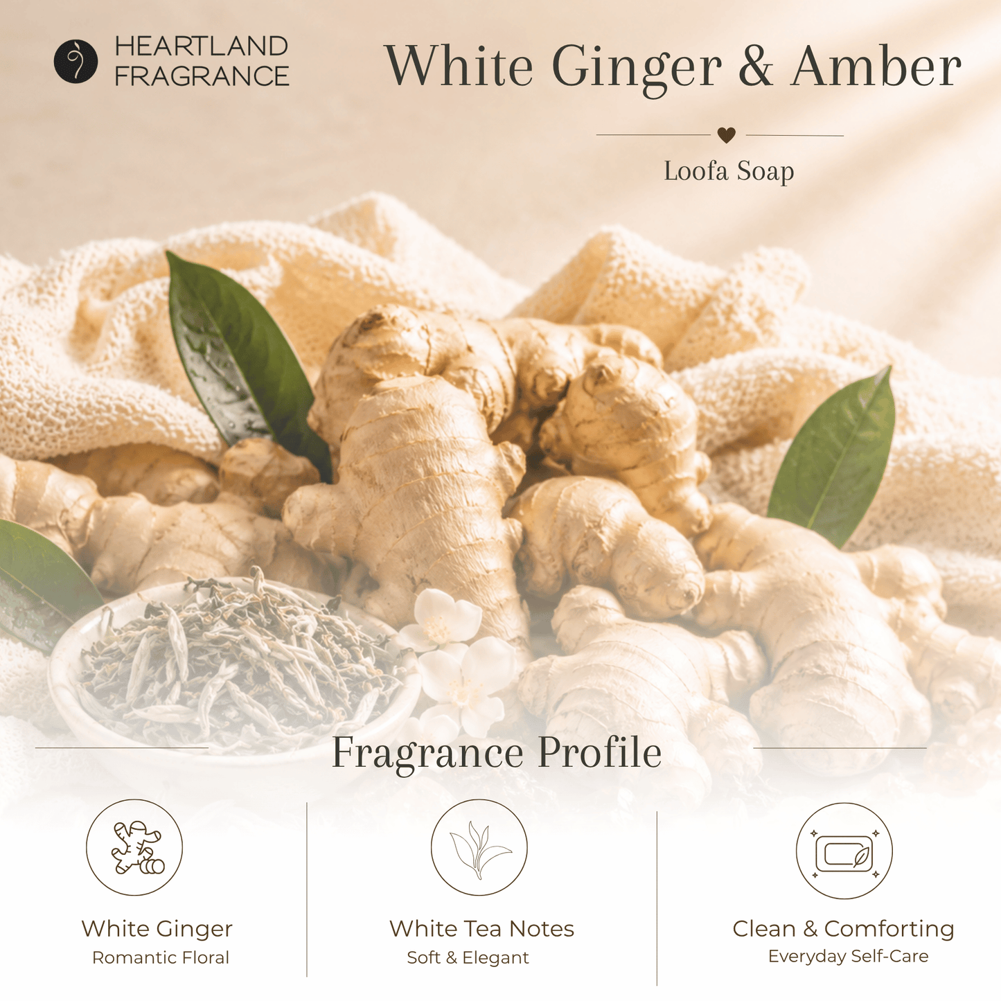 White Ginger & Amber Exfoliating Loofa Bars