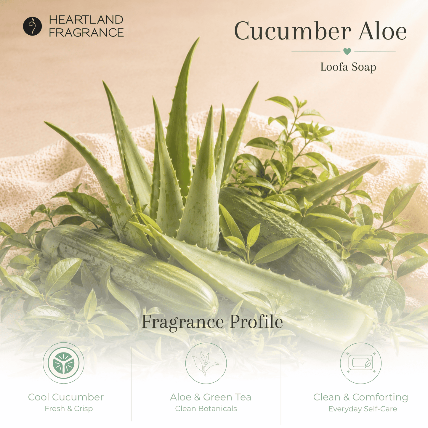 Cucumber Aloe Exfoliating Loofa Bars