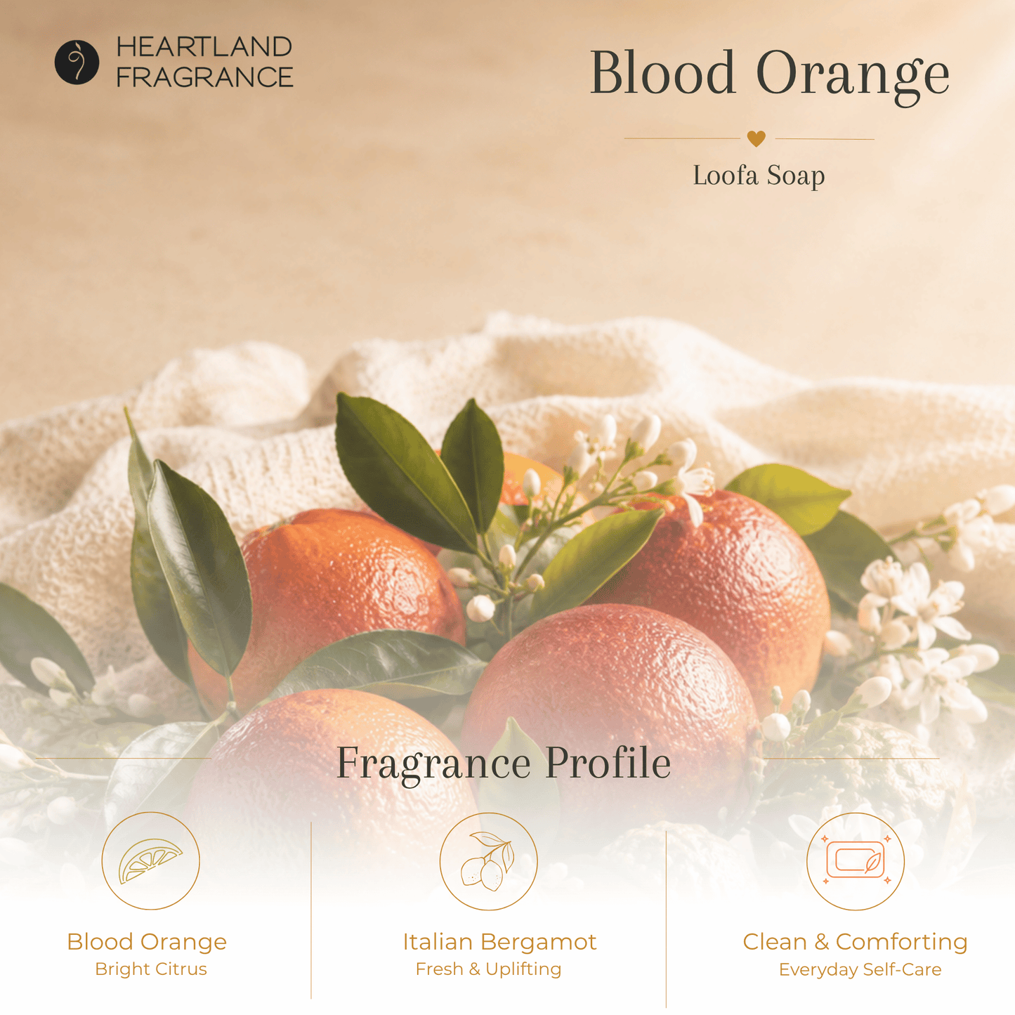 Blood Orange Exfoliating Loofa Bars