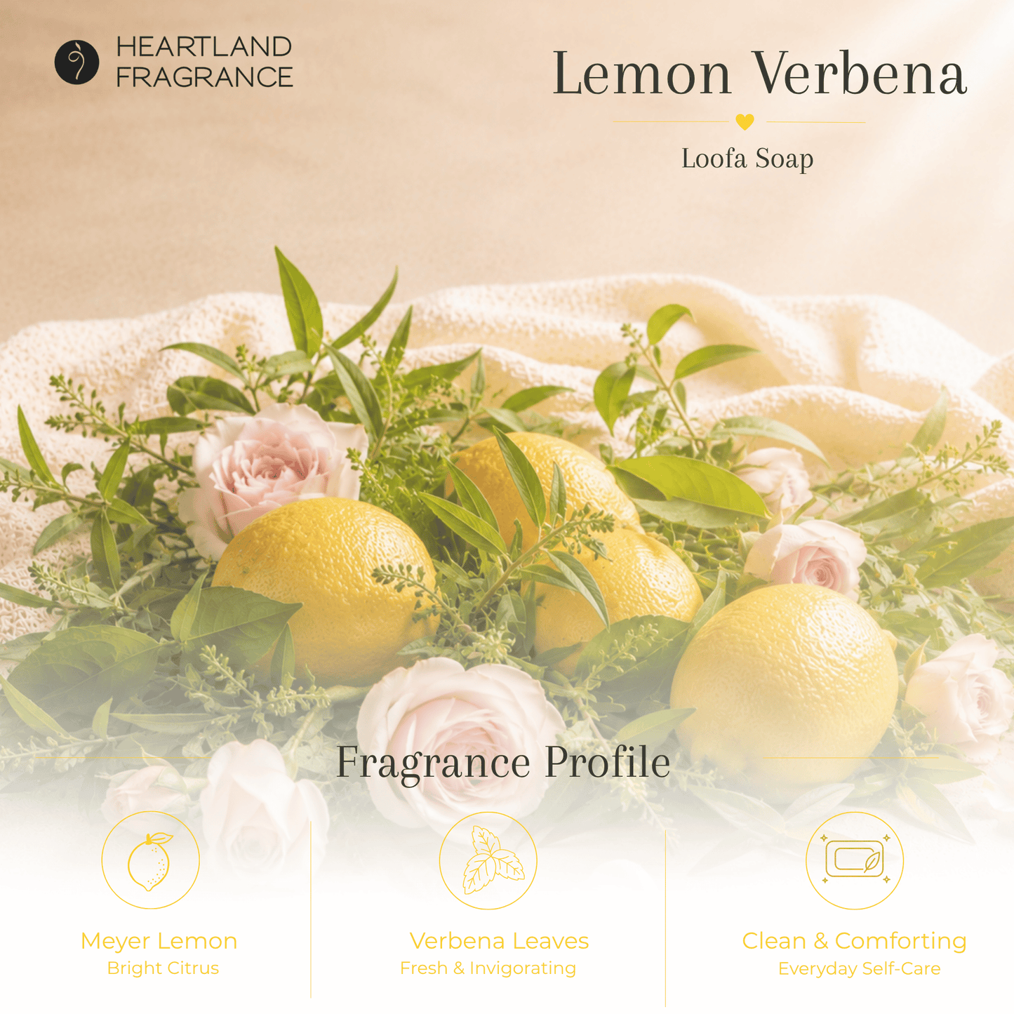 Lemon Verbena Exfoliating Loofa Bars