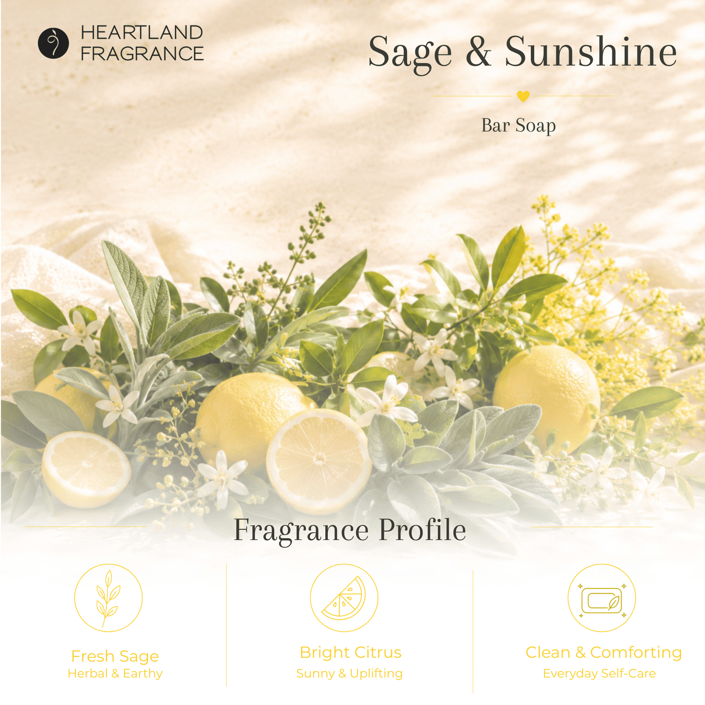 Sage & Sunshine Natural Olive Oil Bar