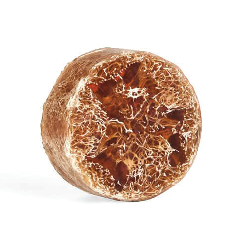 Oatmeal & Honey Exfoliating Loofa Bars