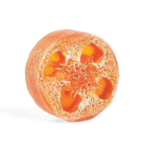 Peach Passionfruit Exfoliating Loofa Bars