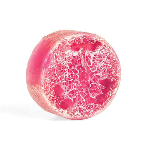 Secret Garden Exfoliating Loofa Bars