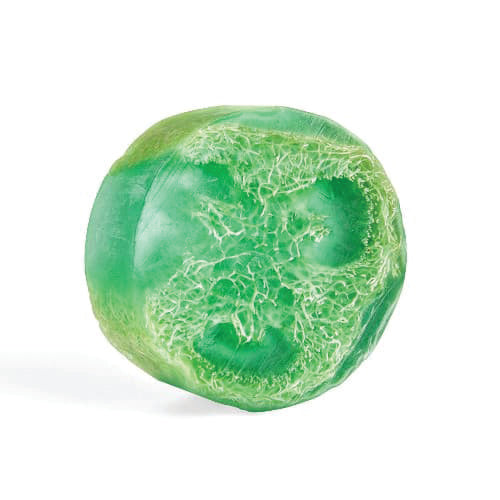 Water Lily Exfoliating Loofa Bars